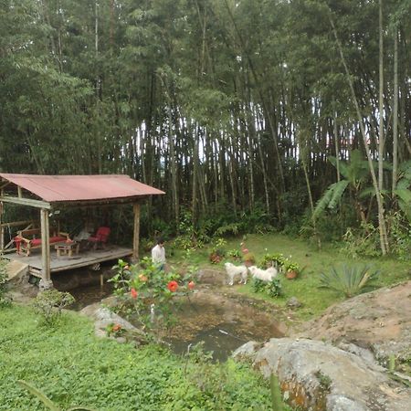 Finca Exclusividad Familiar O Grupo De Amigos Capacidad Hasta 12 Personas Calles En Placa Huella, Caminata Ecologica Alban  Ngoại thất bức ảnh