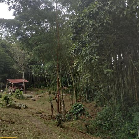 Finca Exclusividad Familiar O Grupo De Amigos Capacidad Hasta 12 Personas Calles En Placa Huella, Caminata Ecologica Alban  Ngoại thất bức ảnh