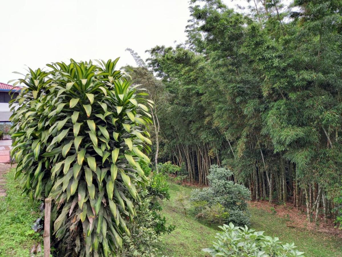 Finca Exclusividad Familiar O Grupo De Amigos Capacidad Hasta 12 Personas Calles En Placa Huella, Caminata Ecologica Alban  Ngoại thất bức ảnh
