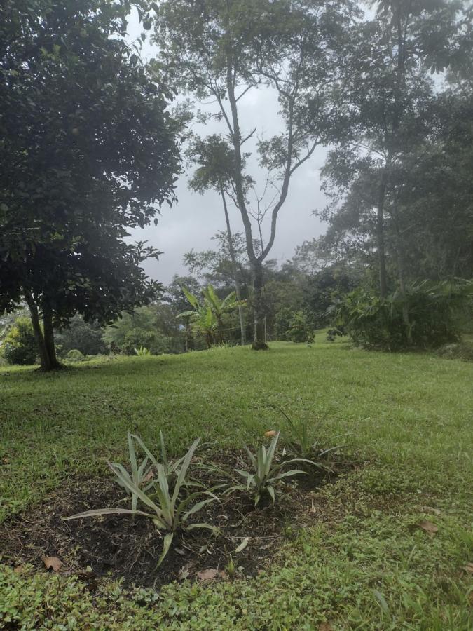 Finca Exclusividad Familiar O Grupo De Amigos Capacidad Hasta 12 Personas Calles En Placa Huella, Caminata Ecologica Alban  Ngoại thất bức ảnh