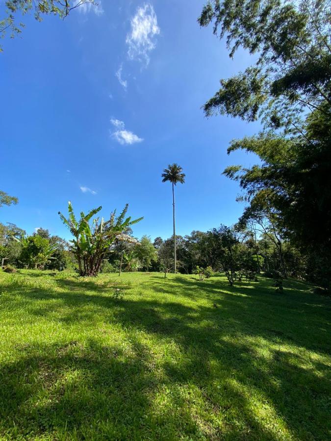 Finca Exclusividad Familiar O Grupo De Amigos Capacidad Hasta 12 Personas Calles En Placa Huella, Caminata Ecologica Alban  Ngoại thất bức ảnh