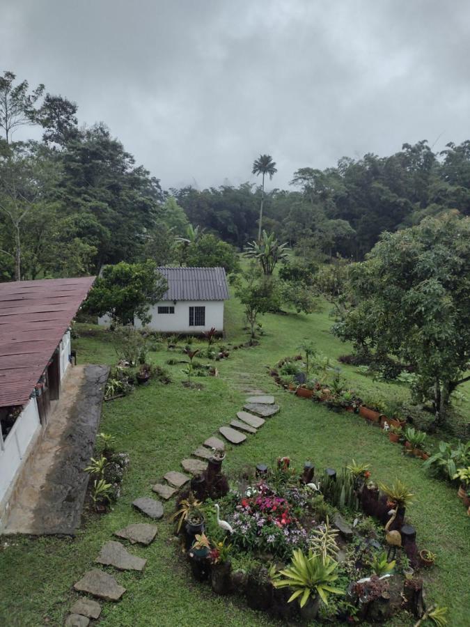 Finca Exclusividad Familiar O Grupo De Amigos Capacidad Hasta 12 Personas Calles En Placa Huella, Caminata Ecologica Alban  Ngoại thất bức ảnh