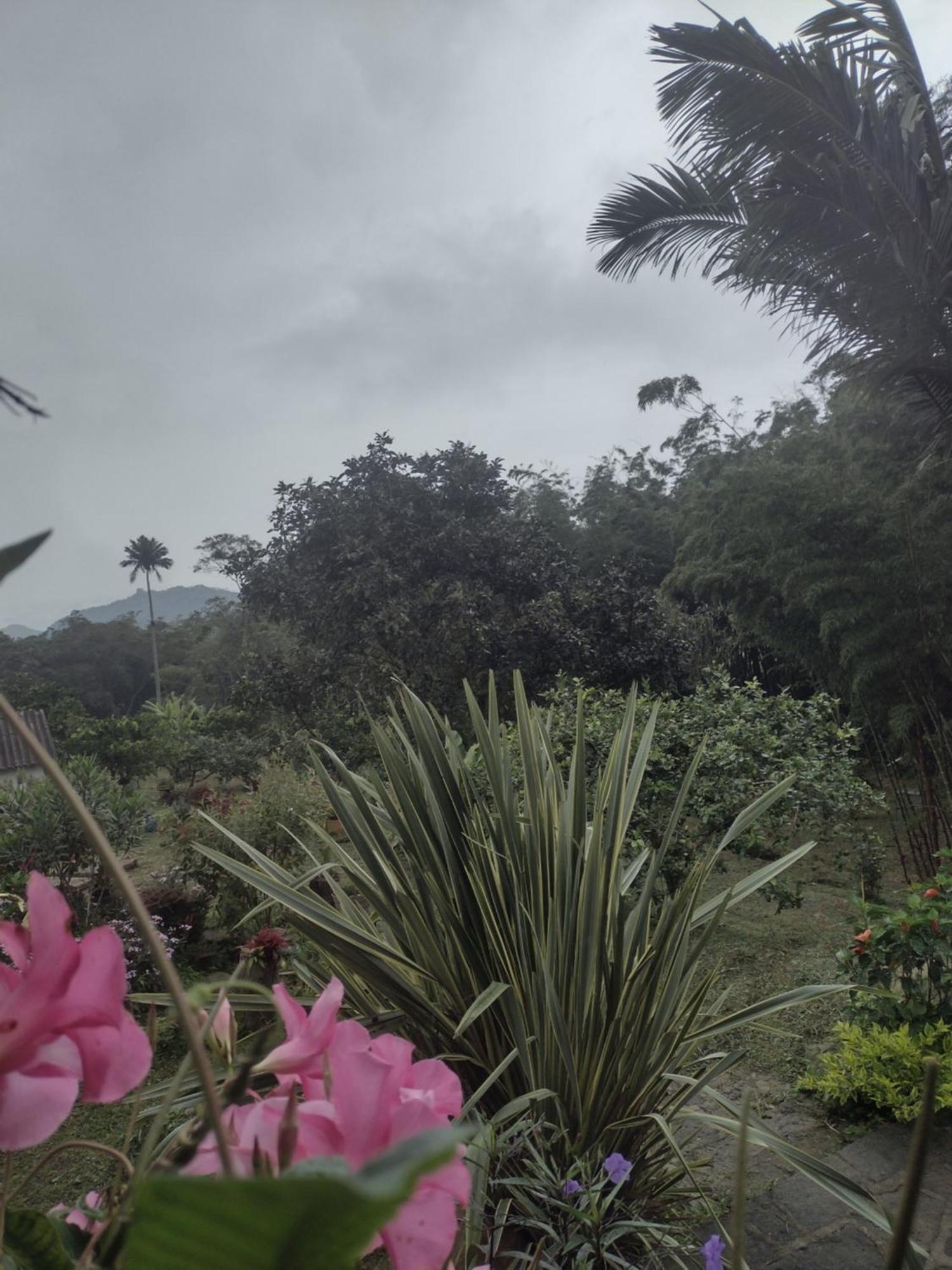 Finca Exclusividad Familiar O Grupo De Amigos Capacidad Hasta 12 Personas Calles En Placa Huella, Caminata Ecologica Alban  Ngoại thất bức ảnh