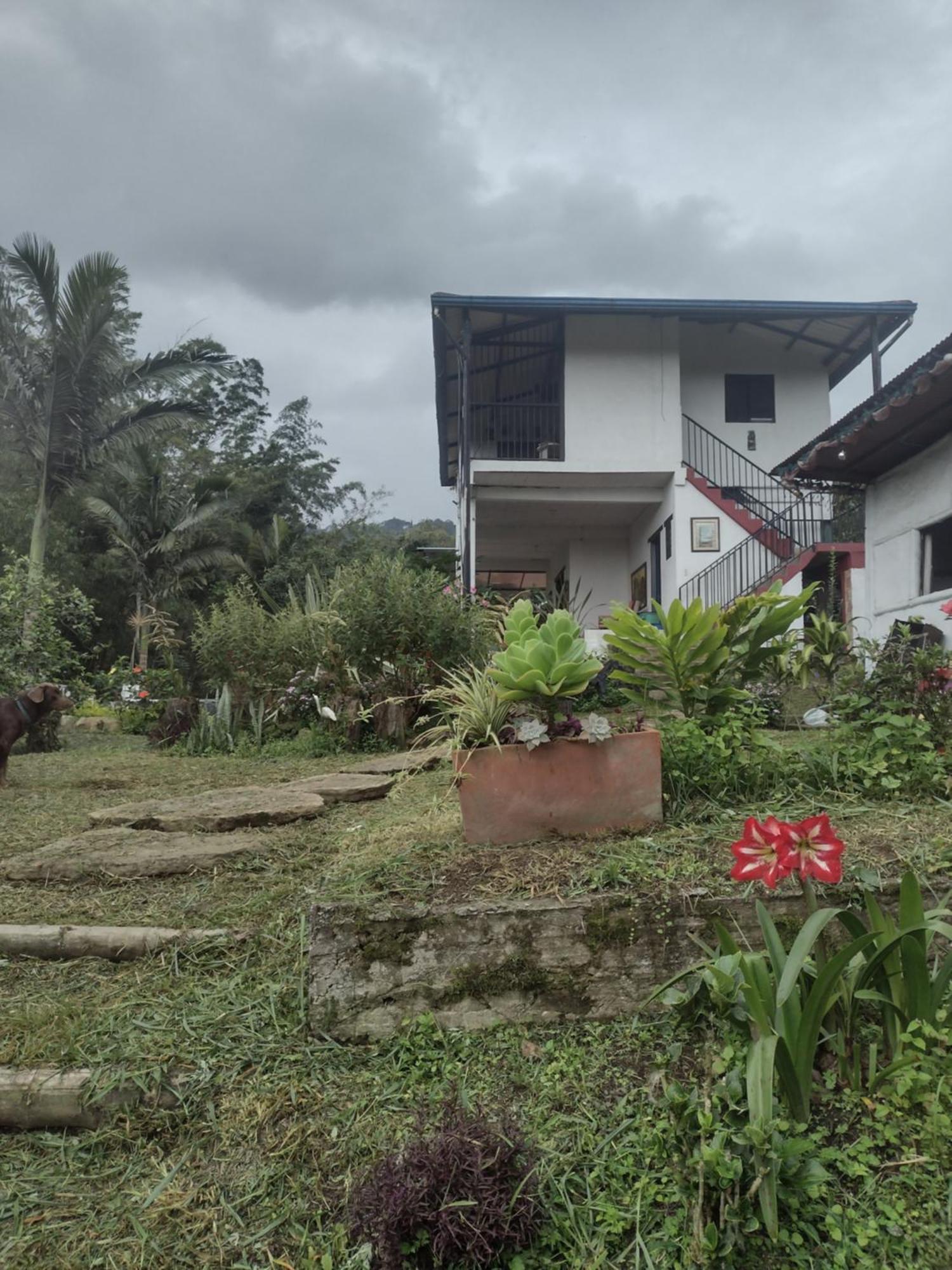 Finca Exclusividad Familiar O Grupo De Amigos Capacidad Hasta 12 Personas Calles En Placa Huella, Caminata Ecologica Alban  Ngoại thất bức ảnh
